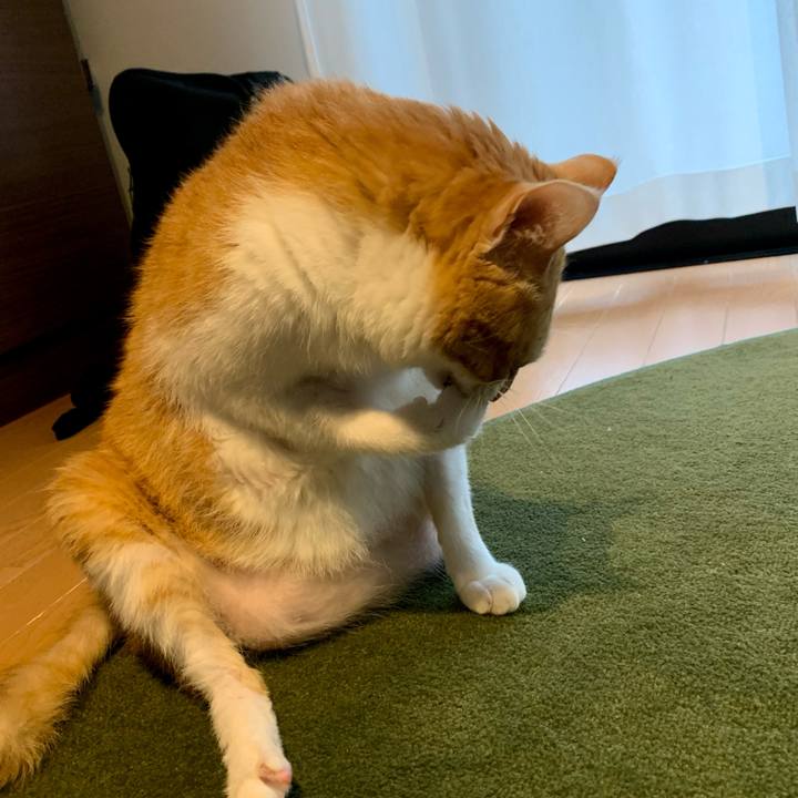 50b685fa ba3d 4bff 8af2 3b111043f82f 1679794832764