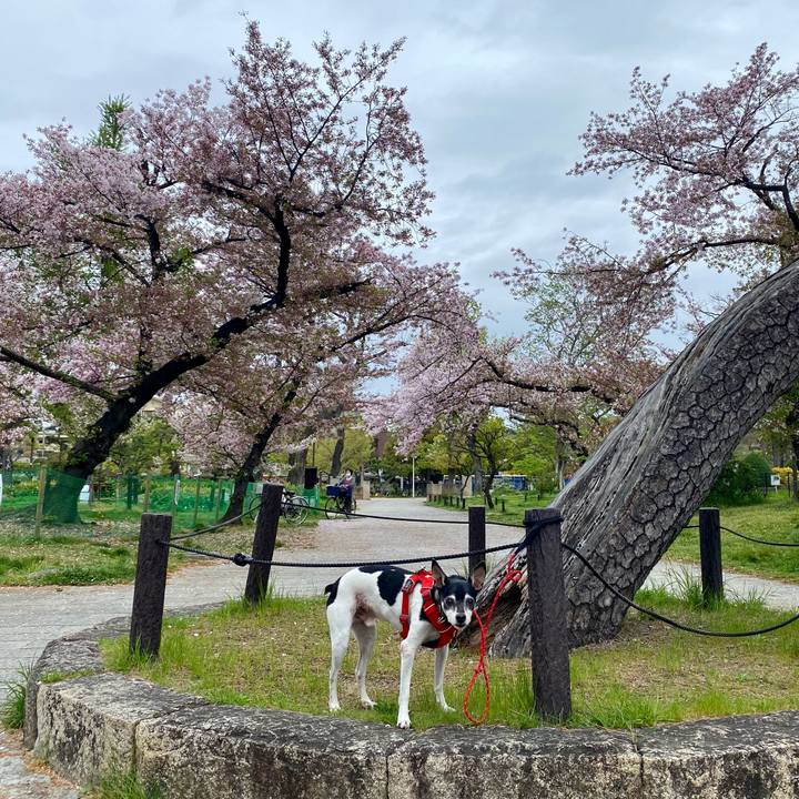 50b697d1 e59b 4938 a9d8 4aa777ce2fce 1617510403714