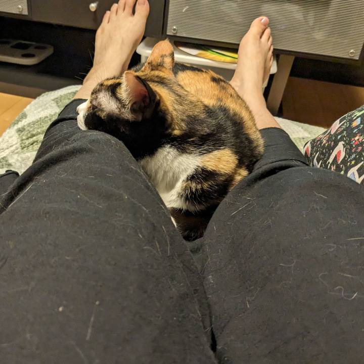 50b6de86 31ea 4447 bb1e 6ddf21f42a10 1690519588167