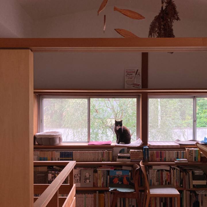 50b6dea1 7f86 420c 8930 6d312848dcf6 1621643293041