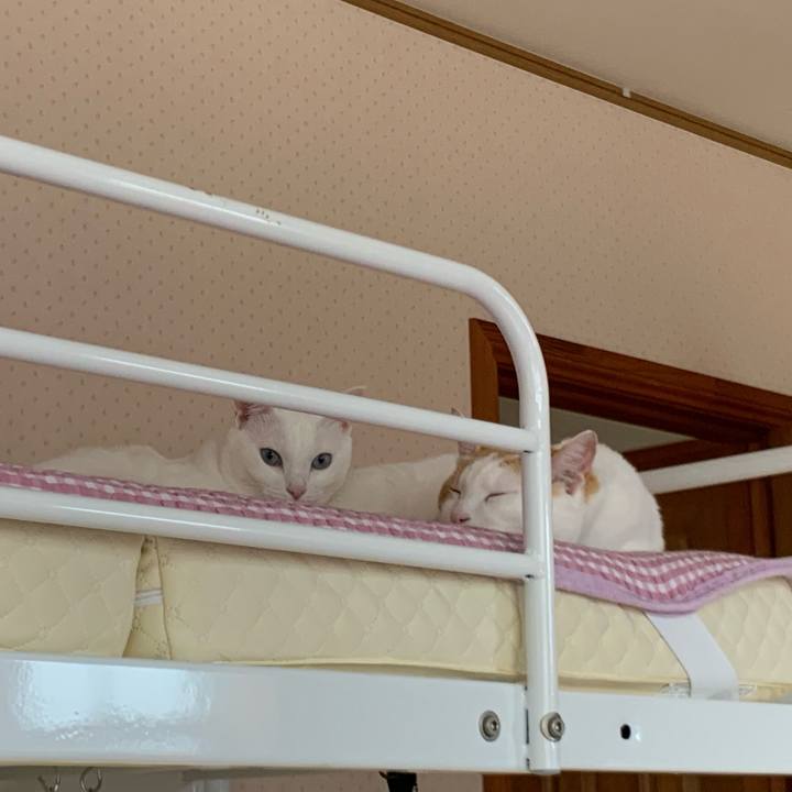 50b6f403 b566 4644 acc8 f52a949bab3b 1570925189655