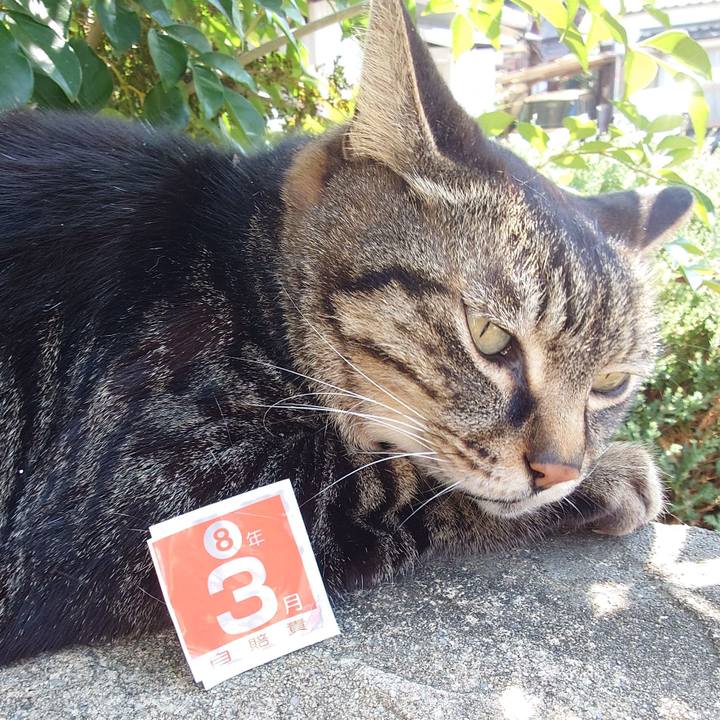 50b6fe02 e3dd 4741 9d1b f34ef4359193 1773204185969