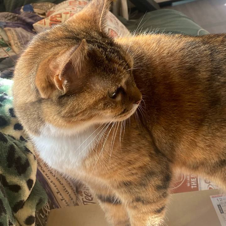 50b70a96 a45f 4b19 8822 578b966437c9 1645838460154