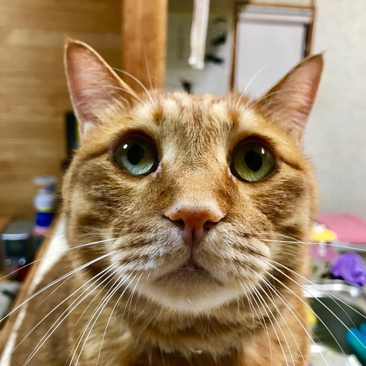 50b7427d 7ae5 4909 a4b6 14aebf9c0269 1528547885900