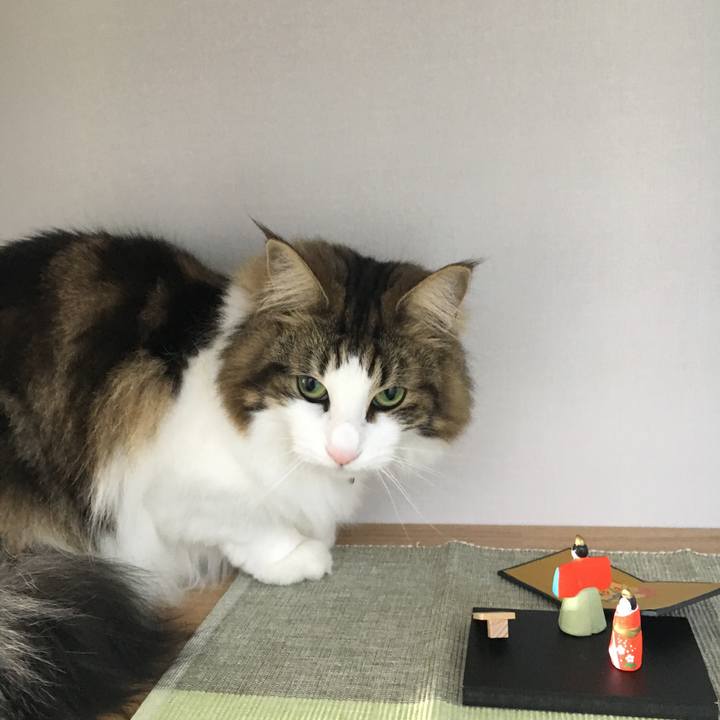 50b78b47 a2fb 4f53 9c8f 7ae3313a6856 1519099765030