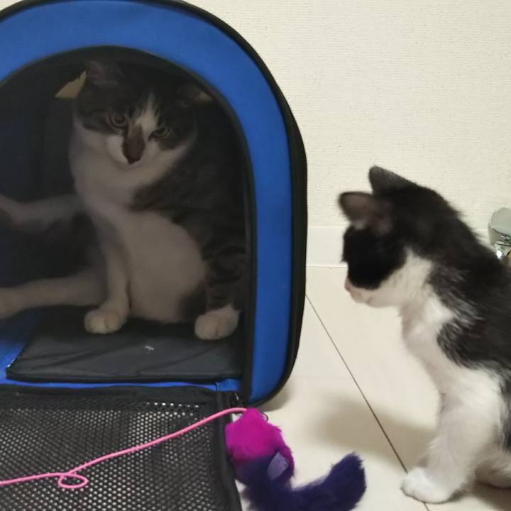 50b7a56d 9349 4461 ab00 48f0493cbdc8 1606312857898