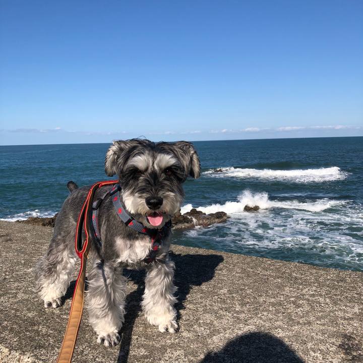 50b7bc27 e9c1 464f 9a5e e81f96501aac 1669431226104