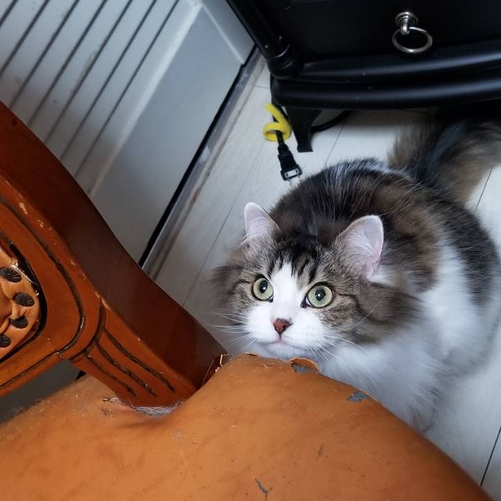 50b7cb21 4049 434c bf28 33a57b572503 1548366878424