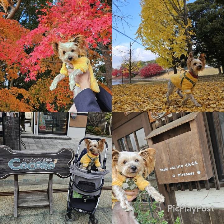 50b7f41c a254 4322 a4a2 e258eded2069 1733486382723