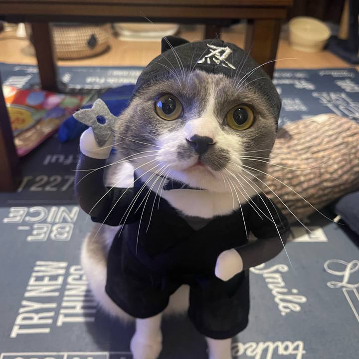 50b81f2f f94f 4d77 b75a 388ed4d1fc50 1698739453245