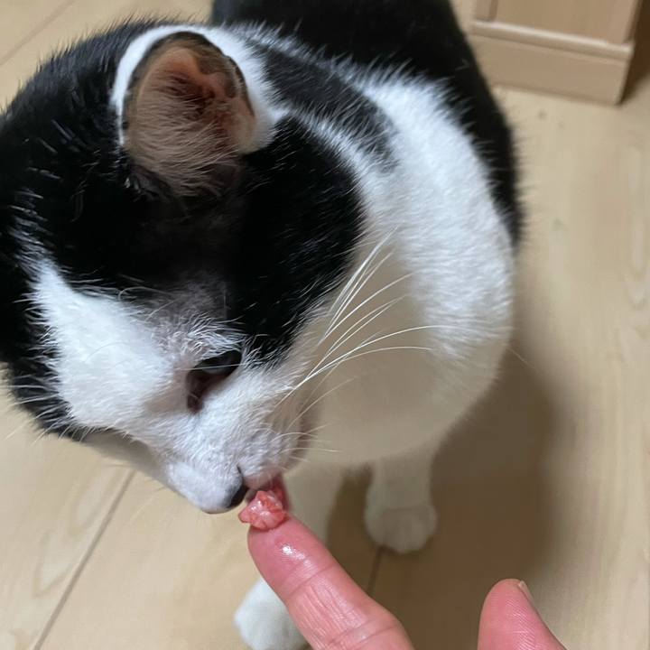 50b837c0 31b5 43ad ba0d 70f4b0ea4189 1620297200706