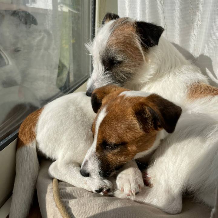 50b83f5d d242 4615 974a 17d4486282e6 1620259630832