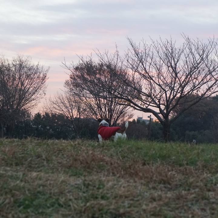 50b8569e df36 4c46 b7da 9f710f78ae57 1545260199283