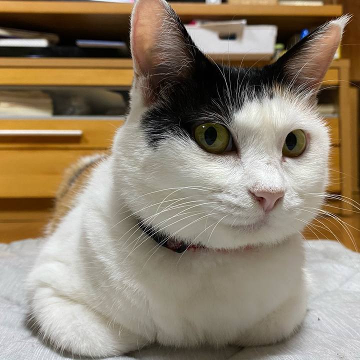 50b85f8e b81c 4082 8b47 e5aee541894b 1694907287871