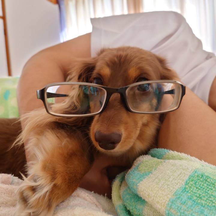 50b877e6 16c8 475d bf09 c26e4f9babd5 1633134702713