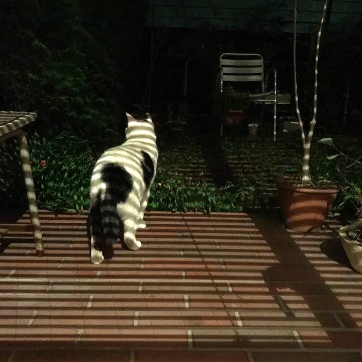 50b89b47 946e 47ef 8d81 d2e3aa270520 1622434113545