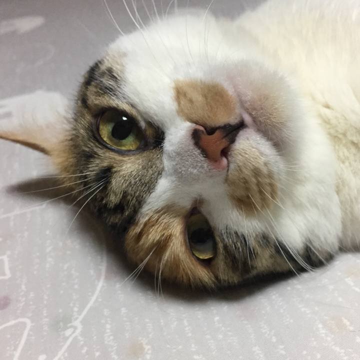 50b8ac42 27a6 4ff7 a9d9 09af815fda3f 1662295314602