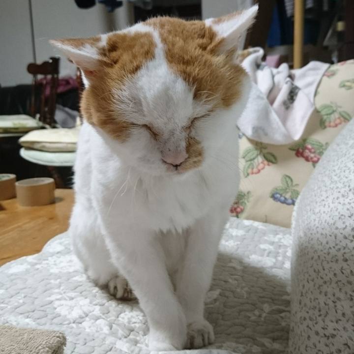 50b92449 341d 4f9c bf93 c464e206502c 1662210368230