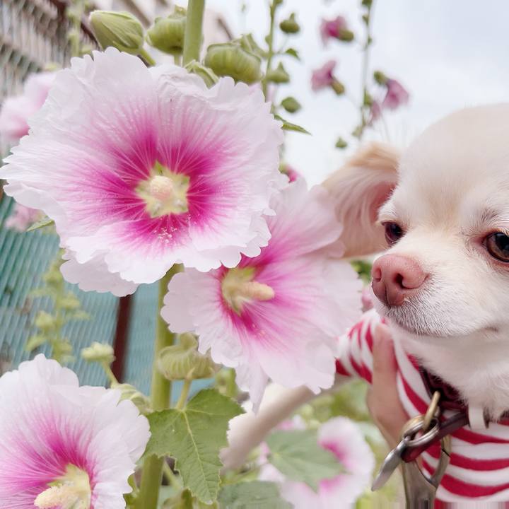 50b93ec6 ef86 47e9 9e0c ef24152a604d 1686051013381