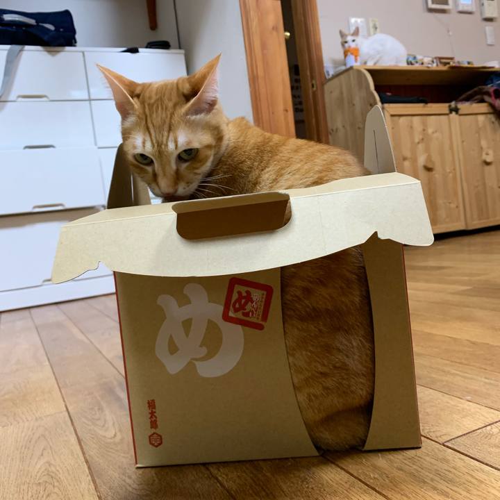 50b969e3 50f3 4df1 b2e4 3cf48144bfa4 1555655152780