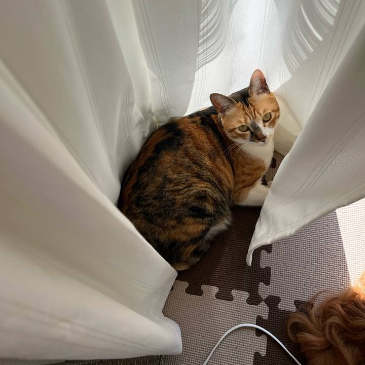 50b9945b 2e14 4d5e 992c 31852ca479d9 1743210797659