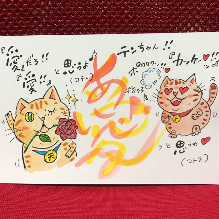 50b9a587 be5f 4c0c 9686 63161ed4b07d 1542633794411