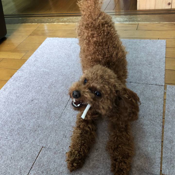 50b9d296 a118 47d6 b7f9 5df36f77f512 1520034015507