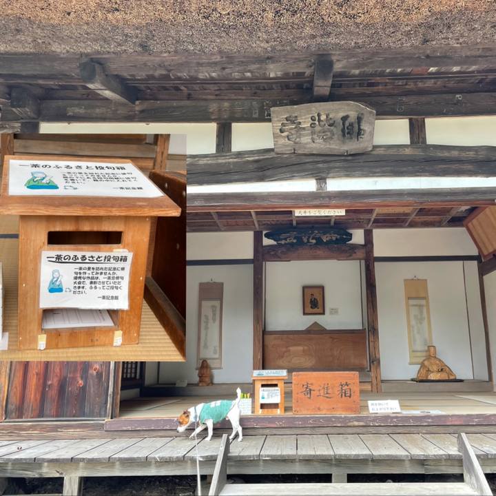 50ba1635 8395 42b8 8da6 8ed6cf7214c4 1633507672774