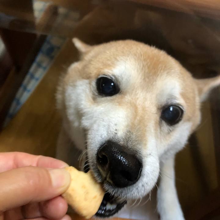 50ba78a6 1abd 47b1 91de 74f56a841935 1579094447543