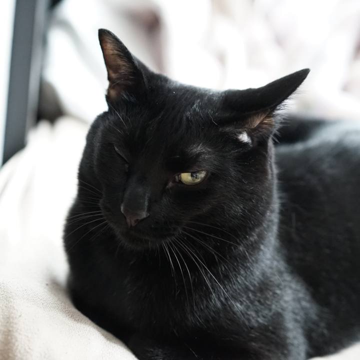 50bac5e0 f1e4 449c ba8f 32f1ae46b648 1560470952260