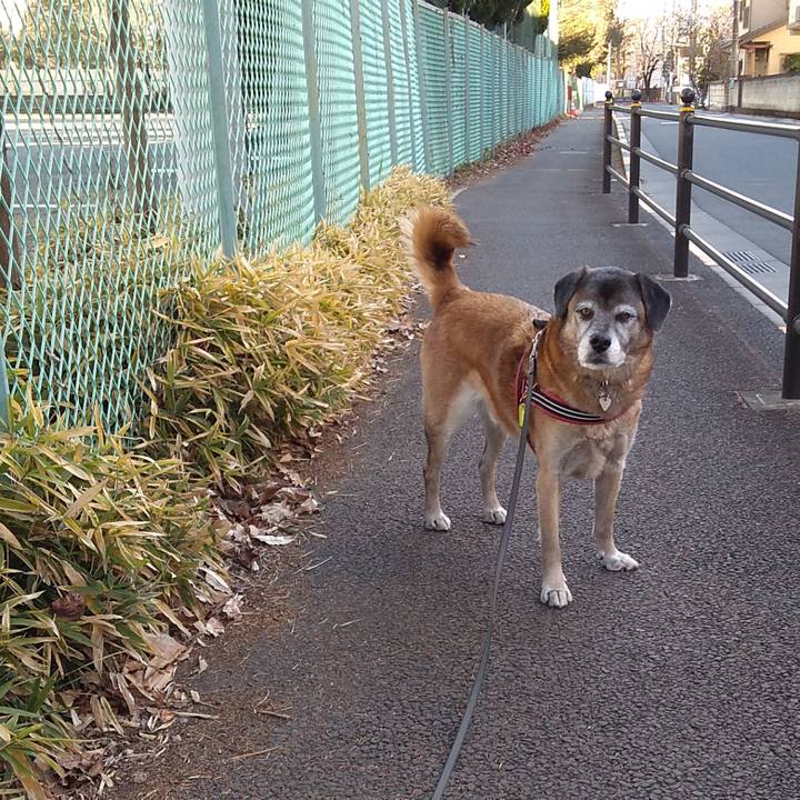 50bb052c c2ba 444e ae44 068e4188a3cc 1546564269785