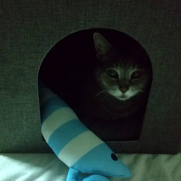 50bb1730 3270 4b23 8bda a71c1a9ec802 1684750268159