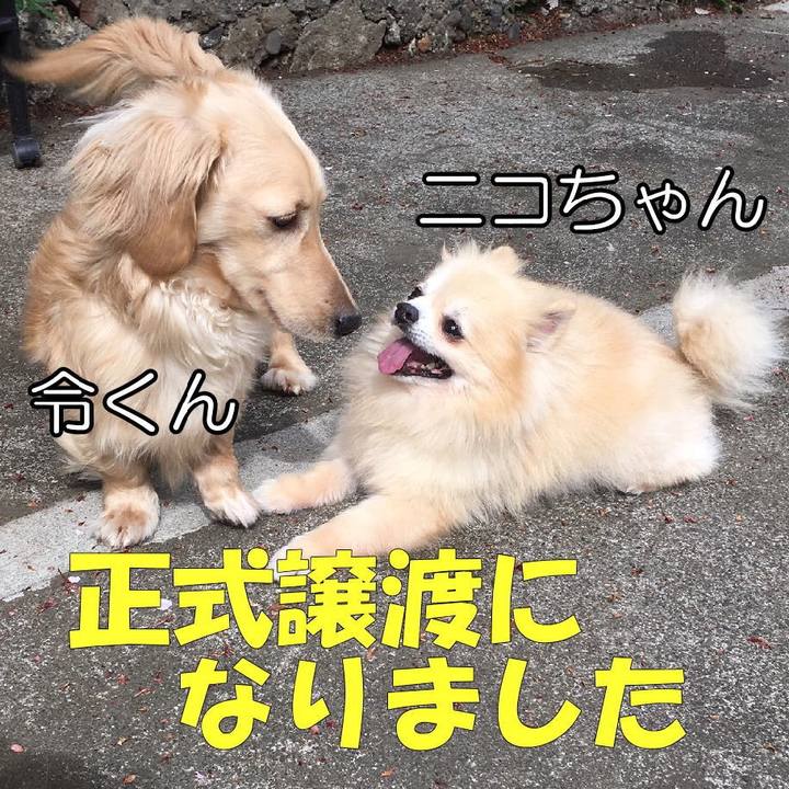 50bb1825 5852 484e b73f a089374fde74 1558947839065