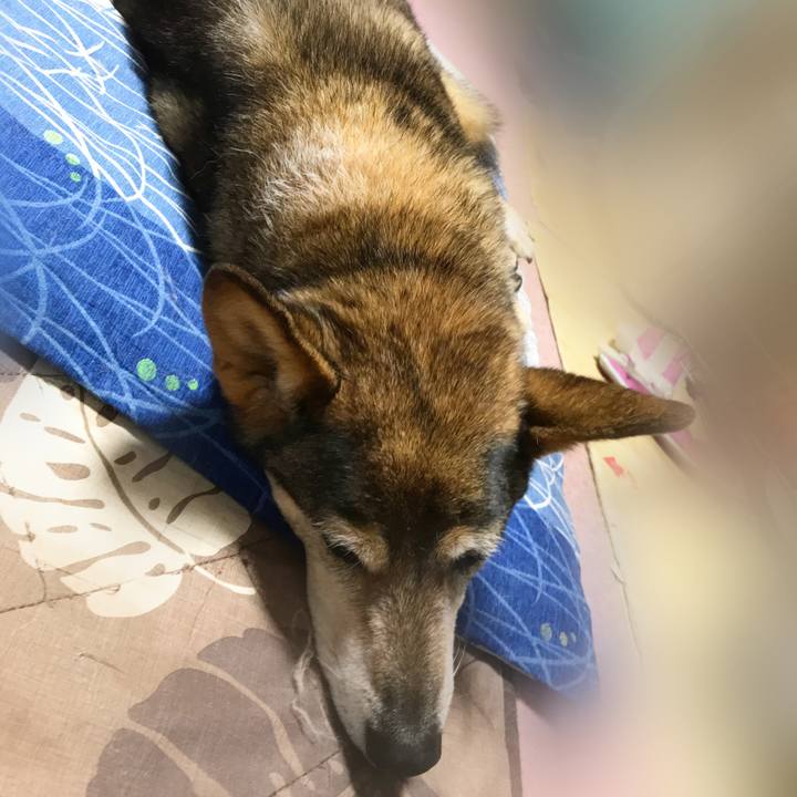 50bb3e31 e608 493d b638 115047eb799a 1539346976438