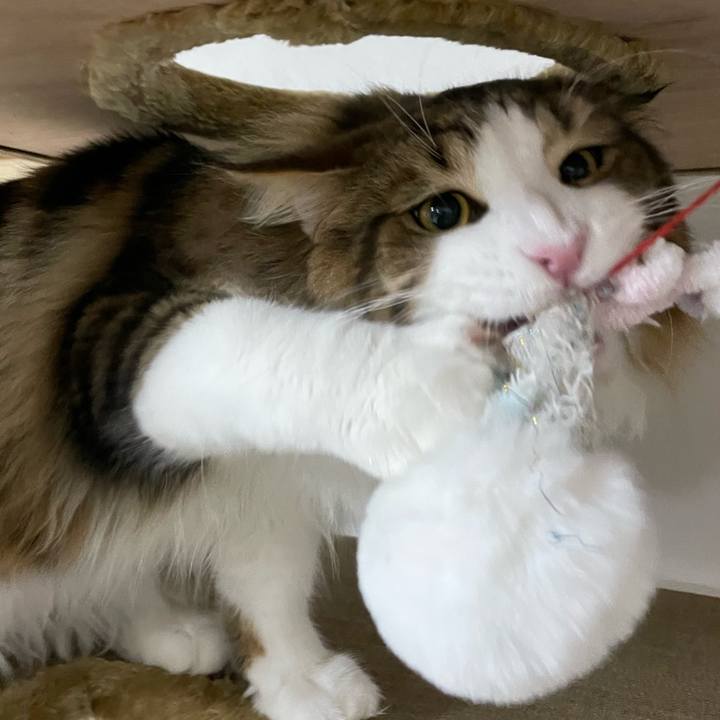 50bb7666 3306 4f3c a215 e79120973a56 1644323896180