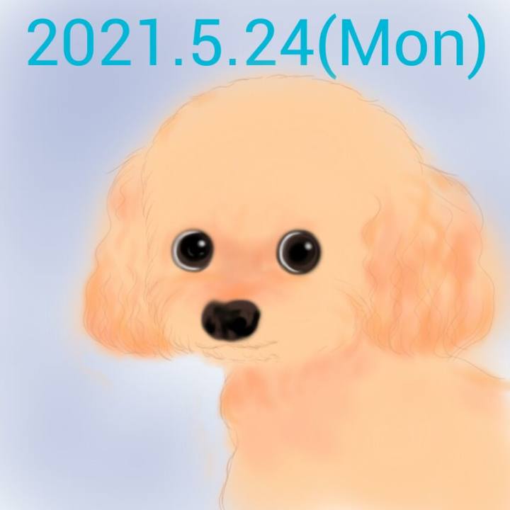 50bbaa0d 0348 4f44 b1cb 374101c467fb 1621857141028