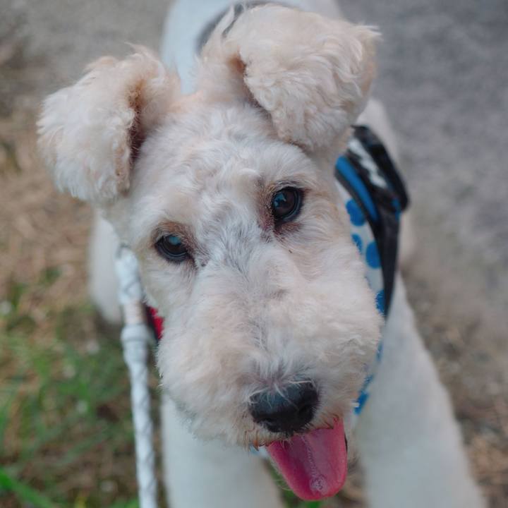 50bbb7c2 d9b8 4ed8 8cea 504a11d3e107 1564496077869