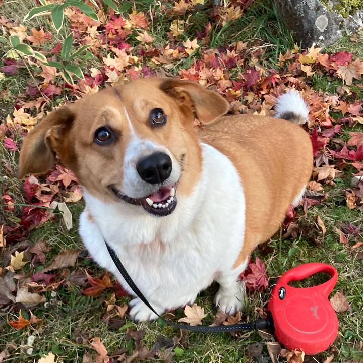 50bbc3fe 6dfa 413e 8dc9 325ccb7cb99c 1732234043473