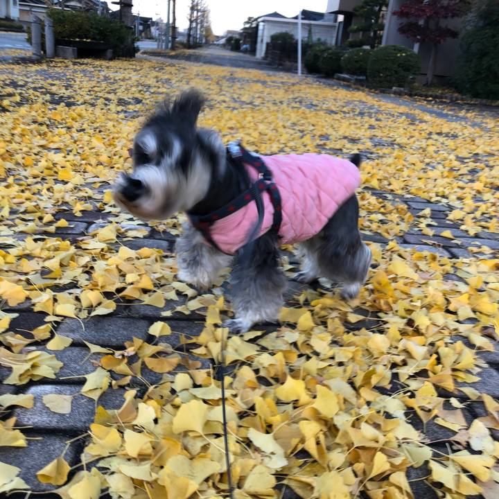 50bbe05c f9aa 4bfe b7a6 9967cccee5a6 1637640223770