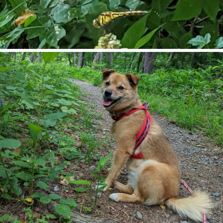 50bc1edf 141c 4c33 acad 1710b69f0d0a 1656668031145