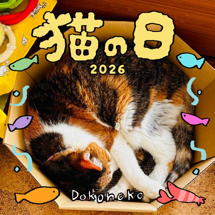 50bc42bc c989 486d 858a accf3e76ef73 1771757941891