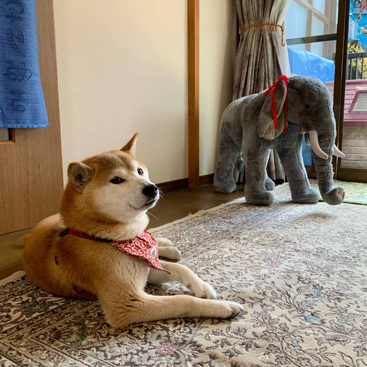 50bc52e5 cb55 4cc0 8082 9a8f8fe372d3 1652091912897