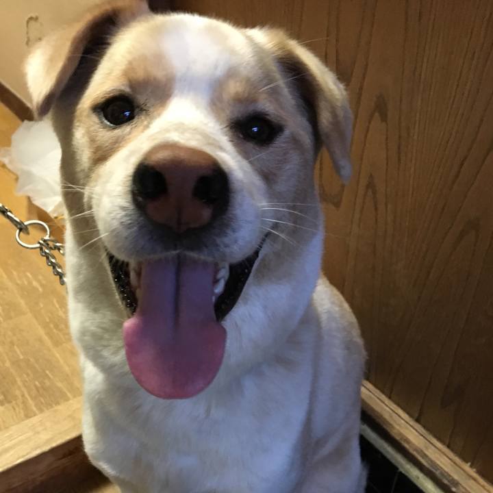 50bc5813 387d 46f6 8eb8 8ca0d092e2fc 1526554343744