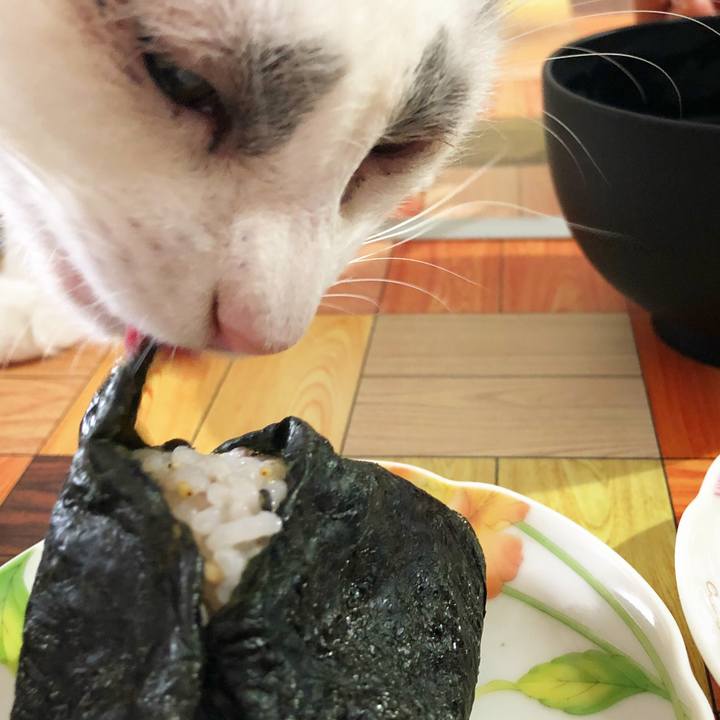 50bc7151 391f 4ca8 837e 3d82fccfb9aa 1536826588958