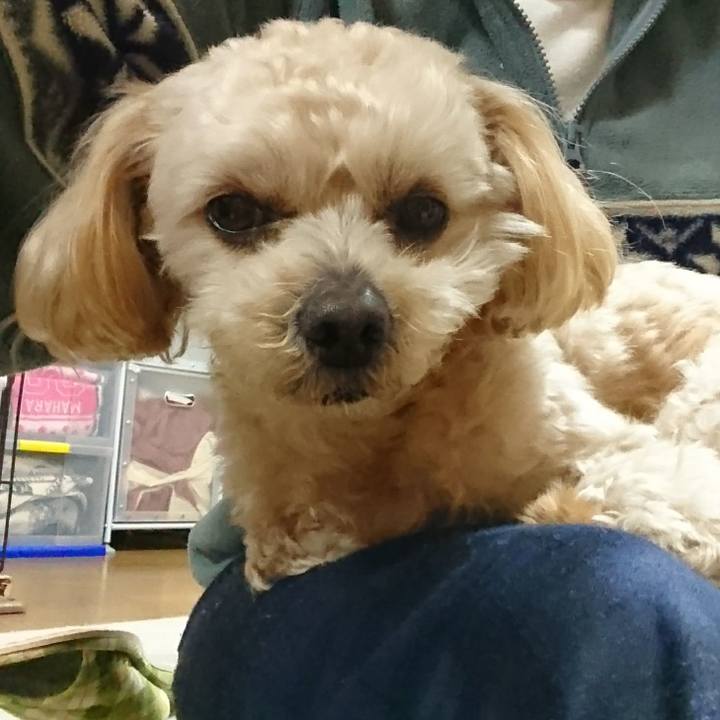 50bc8064 d3c8 4feb 8a82 1ccb03e3e360 1553307639824