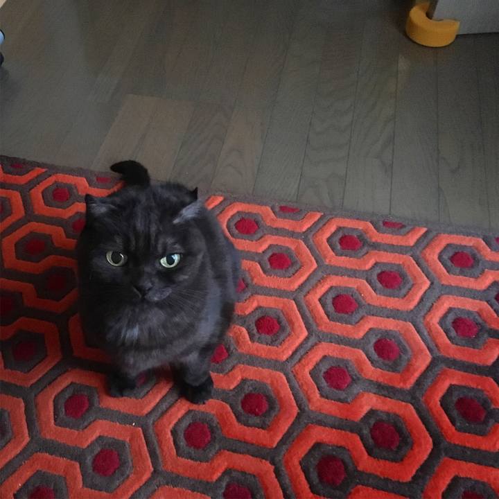 50bc8ad4 7430 40b0 8d55 7a8e2716d685 1546814457335