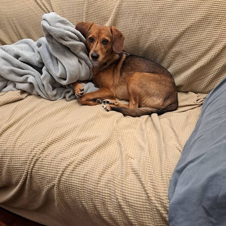 50bca92c 7e77 4b80 9c2d b93be91c6fb2 1764792608012