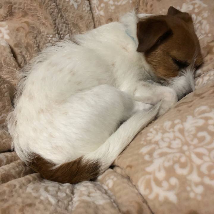 50bcc7ad de60 4eff 99f3 d83340b3095d 1521298538882