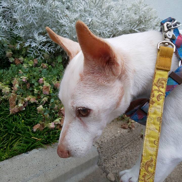 50bd0ab1 466a 441a 94e1 67c9321d76a5 1564003380984