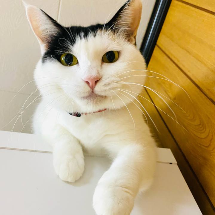 50bd3b3d b1b9 48d0 b46e 8f6f783c84da 1698363852188